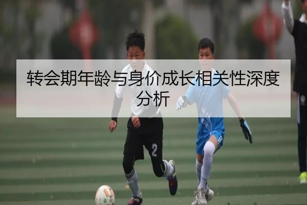 转会期年龄与身价成长相关性深度分析